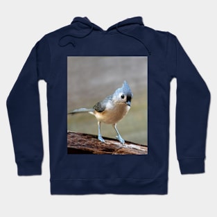 Sweet little bird on a log Hoodie